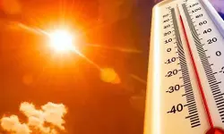 പാലക്കാട്ട് ഉഷ്ണതരംഗ മുന്നറിയിപ്പ്; 12 ജില്ലകളില്‍ യെല്ലോ അലര്‍ട്ട്