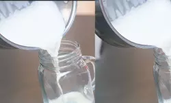 เด
เดเตเดเดฃเดตเดพเดเดฟเดฏเดฟเดฒเตโ เดคเดฟเดณเดเตเด เดชเดพเดฒเตโ เดจเดฒเตโเดเดฟ เด
เดเตเดเต เดตเดฏเดธเตเดเดพเดฐเดจเต เดชเตเดณเตเดณเดฒเตเดฑเตเดฑ เดธเดเดญเดตเด; เดเตเดธเตเดเตเดคเตเดคเต เด
เดเตเดเดฃเดตเดพเดเดฟเดฏเดฟเดฒเตโ เดคเดฟเดณเดเตเด เดชเดพเดฒเตโ เดจเดฒเตโเดเดฟ เด
เดเตเดเต เดตเดฏเดธเตเดเดพเดฐเดจเต เดชเตเดณเตเดณเดฒเตเดฑเตเดฑ เดธเดเดญเดตเด; เดเตเดธเตเดเตเดคเตเดคเต