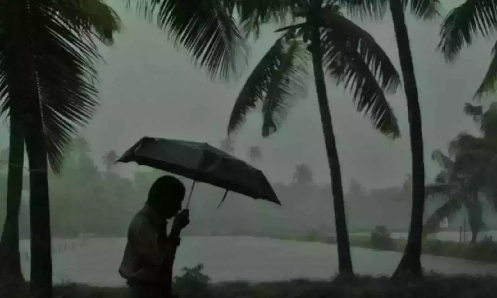 സംസ്ഥാനത്ത് മഴ വീണ്ടും ശക്തമാവുമെന്ന് മുന്നറിയിപ്പ്; മൂന്നു ജില്ലകളില് ഓറഞ്ച് അലേര്ട്ട് സംസ്ഥാനത്ത് മഴ വീണ്ടും ശക്തമാവുമെന്ന് മുന്നറിയിപ്പ്; മൂന്നു ജില്ലകളില് ഓറഞ്ച് അലേര്ട്ട്