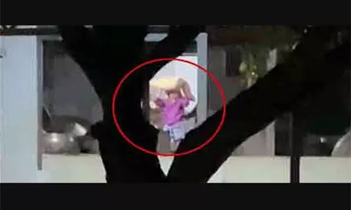 സ്കൂളിലെ അരി കടത്തിയ സംഭവം; അന്വേഷണ റിപോര്ട്ട് പുറത്ത്, അധ്യാപകര്ക്കെതിരെ ക്രിമിനല് നടപടിക്ക് ശുപാര്ശ സ്കൂളിലെ അരി കടത്തിയ സംഭവം; അന്വേഷണ റിപോര്ട്ട് പുറത്ത്, അധ്യാപകര്ക്കെതിരെ ക്രിമിനല് നടപടിക്ക് ശുപാര്ശ