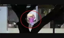 സ്കൂളിലെ അരി കടത്തിയ സംഭവം; അന്വേഷണ റിപോര്ട്ട് പുറത്ത്, അധ്യാപകര്ക്കെതിരെ ക്രിമിനല് നടപടിക്ക് ശുപാര്ശ സ്കൂളിലെ അരി കടത്തിയ സംഭവം; അന്വേഷണ റിപോര്ട്ട് പുറത്ത്, അധ്യാപകര്ക്കെതിരെ ക്രിമിനല് നടപടിക്ക് ശുപാര്ശ