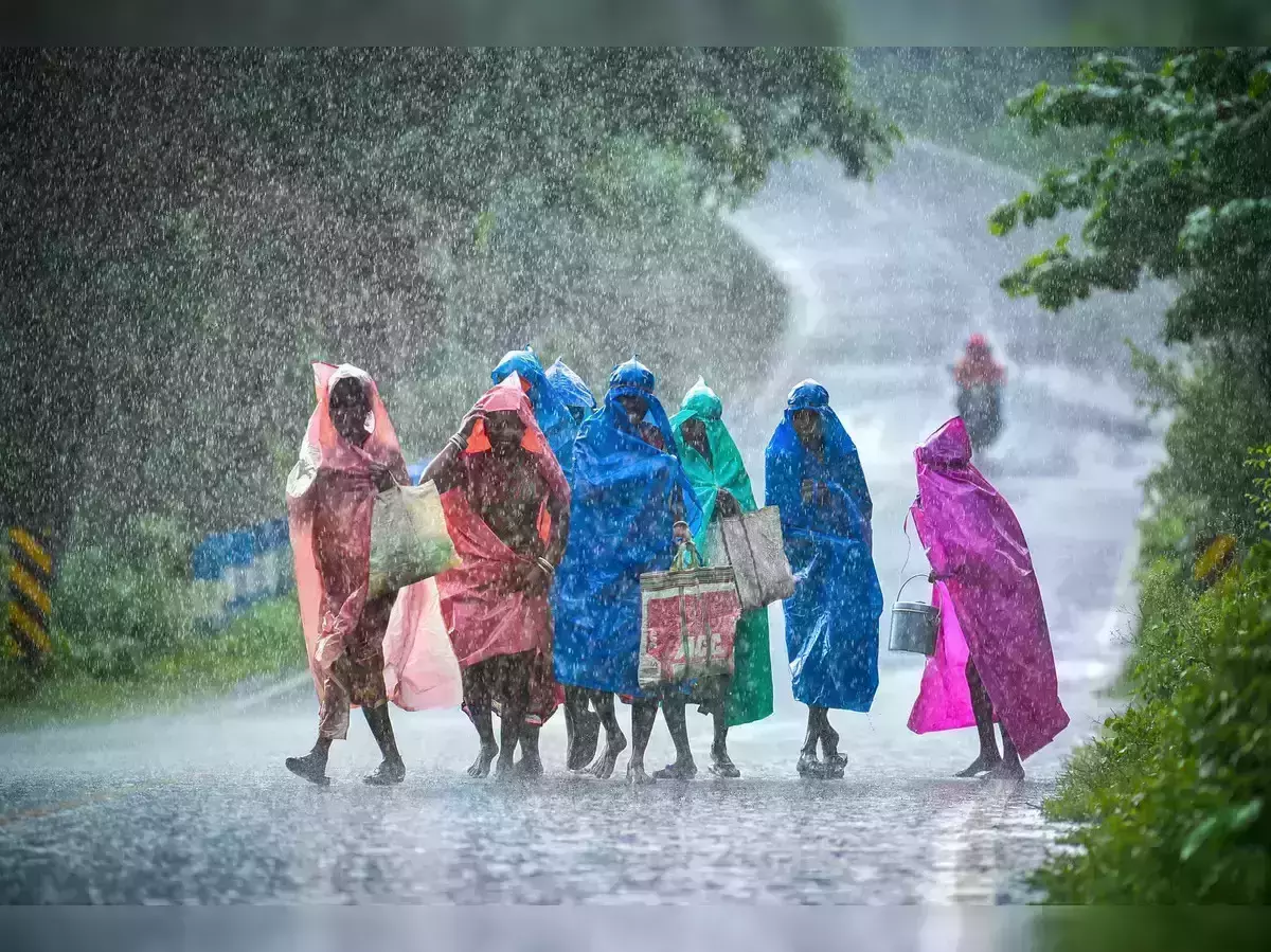 കനത്ത മഴ; ഇടുക്കിയിലും നാളെ സ്‌കൂള്‍ അവധി