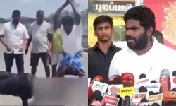തമിഴ്‌നാട്ടില്‍ ബിജെപി അധ്യക്ഷന്‍ അണ്ണാമലൈയുടെ ചിത്രമുള്ള ആടിനെ വെട്ടിക്കൊന്ന് ഡിഎംകെ പ്രവര്‍ത്തകര്‍; വിവാദം(വീഡിയോ)