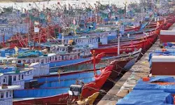 ഇന്ന് അര്‍ധരാത്രിമുതല്‍ ട്രോളിങ് നിരോധനം