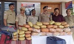 ചെന്നൈ- മംഗളൂരു മെയിലിൽനിന്ന് പിടിച്ചെടുത്തത് 46 കിലോ കഞ്ചാവ്; ഒളിപ്പിച്ചത് നാല് ബാഗുകളിലായി