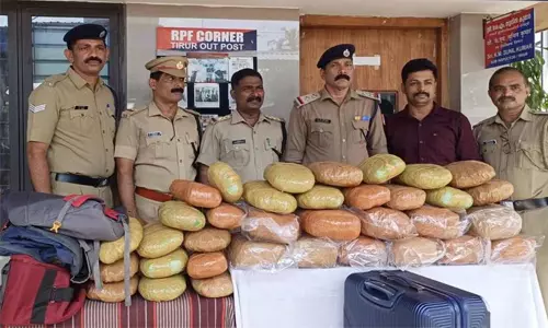 ചെന്നൈ- മംഗളൂരു മെയിലിൽനിന്ന് പിടിച്ചെടുത്തത് 46 കിലോ കഞ്ചാവ്; ഒളിപ്പിച്ചത് നാല് ബാഗുകളിലായി ചെന്നൈ- മംഗളൂരു മെയിലിൽനിന്ന് പിടിച്ചെടുത്തത് 46 കിലോ കഞ്ചാവ്; ഒളിപ്പിച്ചത് നാല് ബാഗുകളിലായി