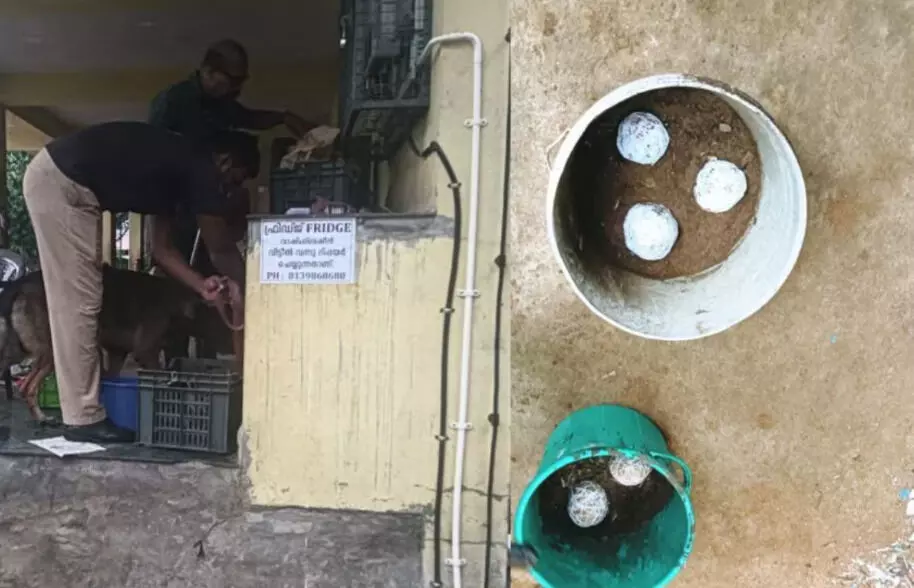 തിരുവനന്തപുരം കുളത്തൂര് മാര്ക്കറ്റില് നാടന് ബോംബുകള് കണ്ടെത്തി തിരുവനന്തപുരം കുളത്തൂര് മാര്ക്കറ്റില് നാടന് ബോംബുകള് കണ്ടെത്തി