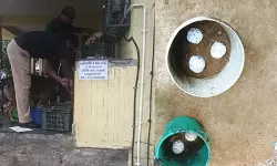 തിരുവനന്തപുരം കുളത്തൂര്‍ മാര്‍ക്കറ്റില്‍ നാടന്‍ ബോംബുകള്‍ കണ്ടെത്തി