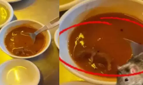 ​ഗുജറാത്തിലെ പ്രമുഖ ഹോട്ടലിൽ വിളമ്പിയ സാമ്പാറിൽ ചത്ത എലി; ഒരാഴ്ചയ്ക്കിടെ മൂന്നാം സംഭവം