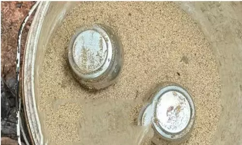 കണ്ണൂരിൽ വീണ്ടും സ്റ്റീൽ ബോംബുകൾ കണ്ടെത്തി; കൂത്തുപറമ്പിലെ ആളൊഴിഞ്ഞ പറമ്പിൽ നിന്ന് കിട്ടിയത് 2 ബോംബുകൾ