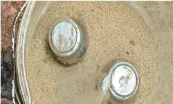 കണ്ണൂരിൽ വീണ്ടും സ്റ്റീൽ ബോംബുകൾ കണ്ടെത്തി; കൂത്തുപറമ്പിലെ ആളൊഴിഞ്ഞ പറമ്പിൽ നിന്ന് കിട്ടിയത് 2 ബോംബുകൾ