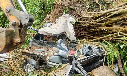 നേര്യമംഗലത്ത് കൂറ്റന്‍മരം വാഹനങ്ങള്‍ക്കുമേല്‍ വീണ് ഒരാള്‍ മരിച്ചു; പ്രതിഷേധവുമായി നാട്ടുകാര്‍