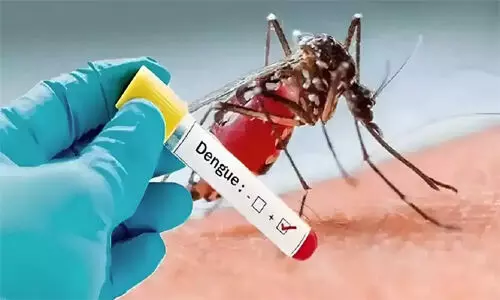 പനി പടരുന്നു; ഇന്നലെ മാത്രം 109 പേർക്ക് ഡെങ്കിപ്പനി പനി പടരുന്നു; ഇന്നലെ മാത്രം 109 പേർക്ക് ഡെങ്കിപ്പനി