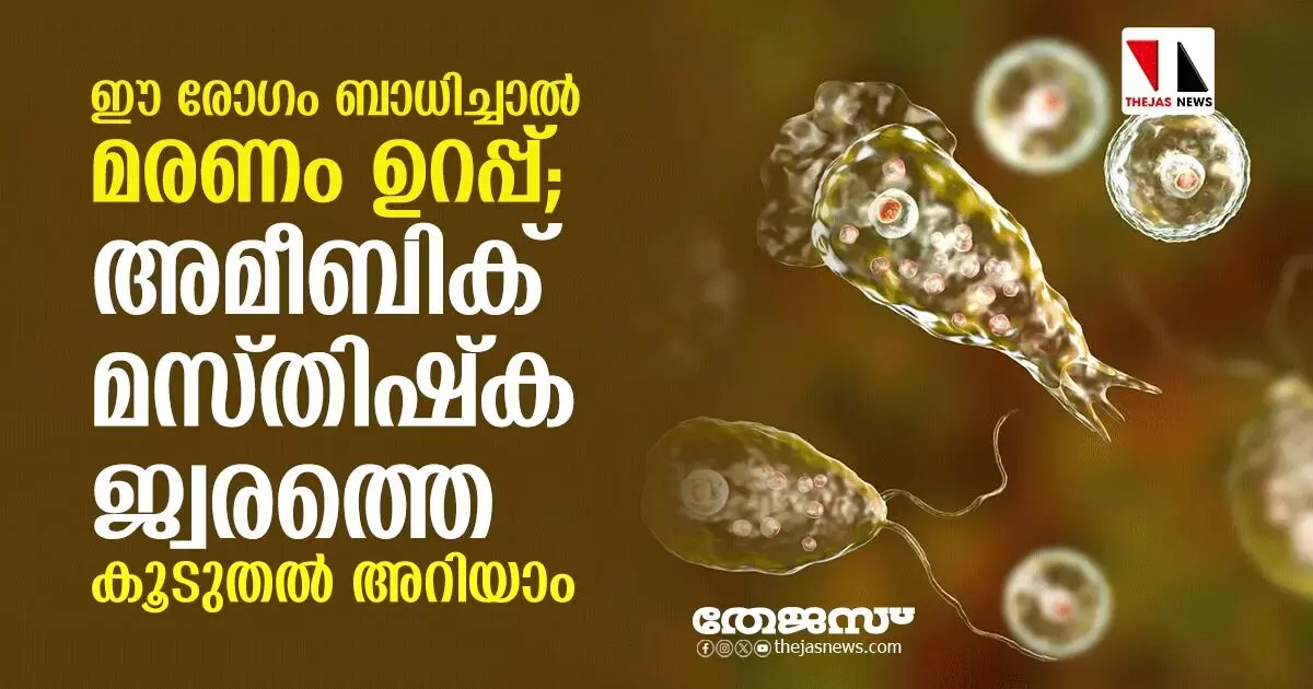 ഈ രോഗം ബാധിച്ചാല് മരണം ഉറപ്പ്; അമീബിക് മസ്തിഷ്ക ജ്വരത്തെ കൂടുതല് അറിയാം ഈ രോഗം ബാധിച്ചാല് മരണം ഉറപ്പ്; അമീബിക് മസ്തിഷ്ക ജ്വരത്തെ കൂടുതല് അറിയാം