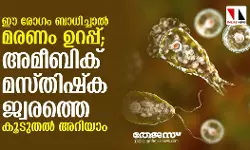 ഈ രോഗം ബാധിച്ചാല്‍ മരണം ഉറപ്പ്; അമീബിക് മസ്തിഷ്‌ക ജ്വരത്തെ കൂടുതല്‍ അറിയാം