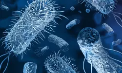 തിരുവനന്തപുരത്ത് കോളറ സ്ഥിരീകരിച്ചു; കാരുണ്യ ഹോസ്റ്റലിലെ 10വയസുകാരൻ ചികിത്സയിൽ; 10പേർക്ക് രോഗലക്ഷണം തിരുവനന്തപുരത്ത് കോളറ സ്ഥിരീകരിച്ചു; കാരുണ്യ ഹോസ്റ്റലിലെ 10വയസുകാരൻ ചികിത്സയിൽ; 10പേർക്ക് രോഗലക്ഷണം