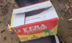 സര്‍ക്കാരിൻ്റെ ഭക്ഷ്യ കിറ്റിൽ നിരോധിച്ച വെളിച്ചെണ്ണ വിതരണം ചെയ്തു; ഉപയോഗിച്ചവര്‍ക്ക് ഭക്ഷ്യവിഷബാധയേറ്റു