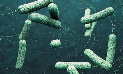 സംസ്ഥാനത്ത് വീണ്ടും കോളറ; സ്ഥിരീകരിച്ചത് രണ്ടുപേര്ക്ക് സംസ്ഥാനത്ത് വീണ്ടും കോളറ; സ്ഥിരീകരിച്ചത് രണ്ടുപേര്ക്ക്