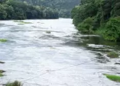 10 മണിക്കൂര് മരക്കൊമ്പില് തൂങ്ങിക്കിടന്നു; മനക്കരുത്തില് 79കാരിക്ക് പുനര്ജന്മം 10 മണിക്കൂര് മരക്കൊമ്പില് തൂങ്ങിക്കിടന്നു; മനക്കരുത്തില് 79കാരിക്ക് പുനര്ജന്മം