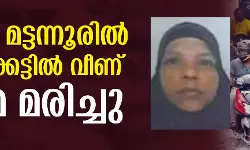 കണ്ണൂര്‍ മട്ടന്നൂരില്‍ വെള്ളക്കെട്ടില്‍ വീണ് വീട്ടമ്മ മരിച്ചു