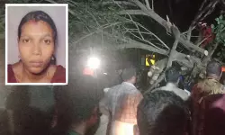 നെടുമങ്ങാട് കാറിനു മുകളില്‍ ആല്‍മരം വീണ് സ്ത്രീ മരണപ്പെട്ടു