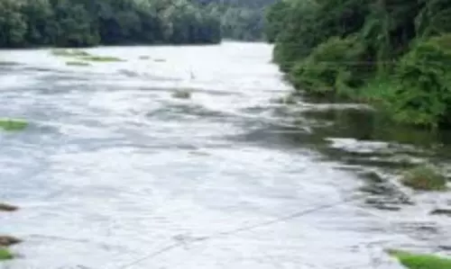 10 മണിക്കൂര്‍ മരക്കൊമ്പില്‍ തൂങ്ങിക്കിടന്നു; മനക്കരുത്തില്‍ 79കാരിക്ക് പുനര്‍ജന്‍മം