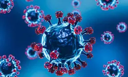 നിപ; കോഴിക്കോട് ചികില്സയില്ക്കഴിഞ്ഞ മലപ്പുറം സ്വദേശിയായ 14 കാരന് മരിച്ചു നിപ; കോഴിക്കോട് ചികില്സയില്ക്കഴിഞ്ഞ മലപ്പുറം സ്വദേശിയായ 14 കാരന് മരിച്ചു