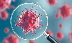 നിപ; സമ്പര്ക്ക പട്ടികയില് 246 പേര്; ഹൈ റിസ്ക് വിഭാഗത്തിലെ രണ്ട് പേര്ക്ക് ലക്ഷണം നിപ; സമ്പര്ക്ക പട്ടികയില് 246 പേര്; ഹൈ റിസ്ക് വിഭാഗത്തിലെ രണ്ട് പേര്ക്ക് ലക്ഷണം