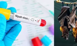 മലപ്പുറത്ത് മരണപ്പെട്ട 24കാരന് നിപ തന്നെ; പൂനെ ഫലത്തിൽ സ്ഥിരീകരണം