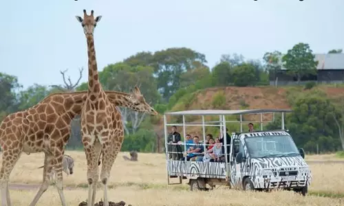 തളിപ്പറമ്പില്‍ സൂ സഫാരി പാര്‍ക്ക് വരുന്നു; 256 ഏക്കര്‍ ഭൂമി വിട്ടുനല്‍കാന്‍ കൃഷി വകുപ്പ്