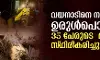 വയനാട് ഉരുള്പൊട്ടല്; 35 പേരുടെ മരണം സ്ഥിരീകരിച്ചു വയനാട് ഉരുള്പൊട്ടല്; 35 പേരുടെ മരണം സ്ഥിരീകരിച്ചു
