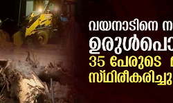 വയനാട് ഉരുള്‍പൊട്ടല്‍; 35 പേരുടെ മരണം സ്ഥിരീകരിച്ചു