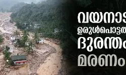 വയനാട് ഉരുള്‍പൊട്ടല്‍ ദുരന്തം: മരണം 125