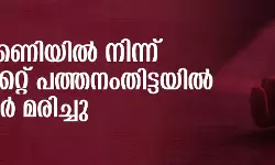പത്തനംതിട്ട കുരമ്പാലയില്‍ രണ്ടുപേര്‍ ഷോക്കേറ്റ് മരിച്ചു