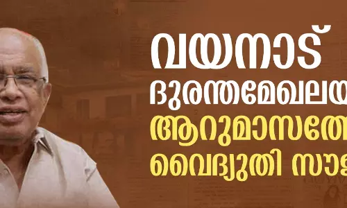 വയനാട് ദുരന്തമേഖലയില്‍ ആറുമാസത്തേക്ക് വൈദ്യുതി സൗജന്യം