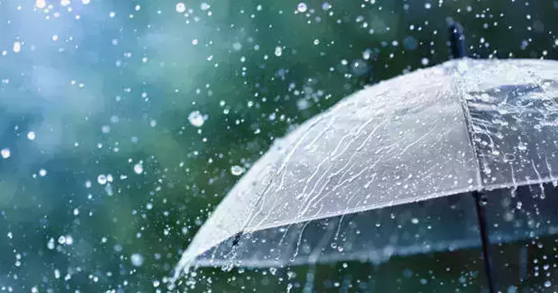 മഴ മുന്നറിയിപ്പ്; രണ്ട് ജില്ലകളില്‍ ഓറഞ്ച് അലേര്‍ട്ട്, 12 ജില്ലകളില്‍ യെല്ലോ അലേര്‍ട്ട്