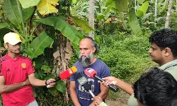 താമിര്‍ ജിഫ്രി കൊലപാതകം; മുന്‍ എസ്.പി സുജിത്ത് ദാസിനെ പ്രതിചേര്‍ക്കണം: ഹാരിസ് ജിഫ്രി