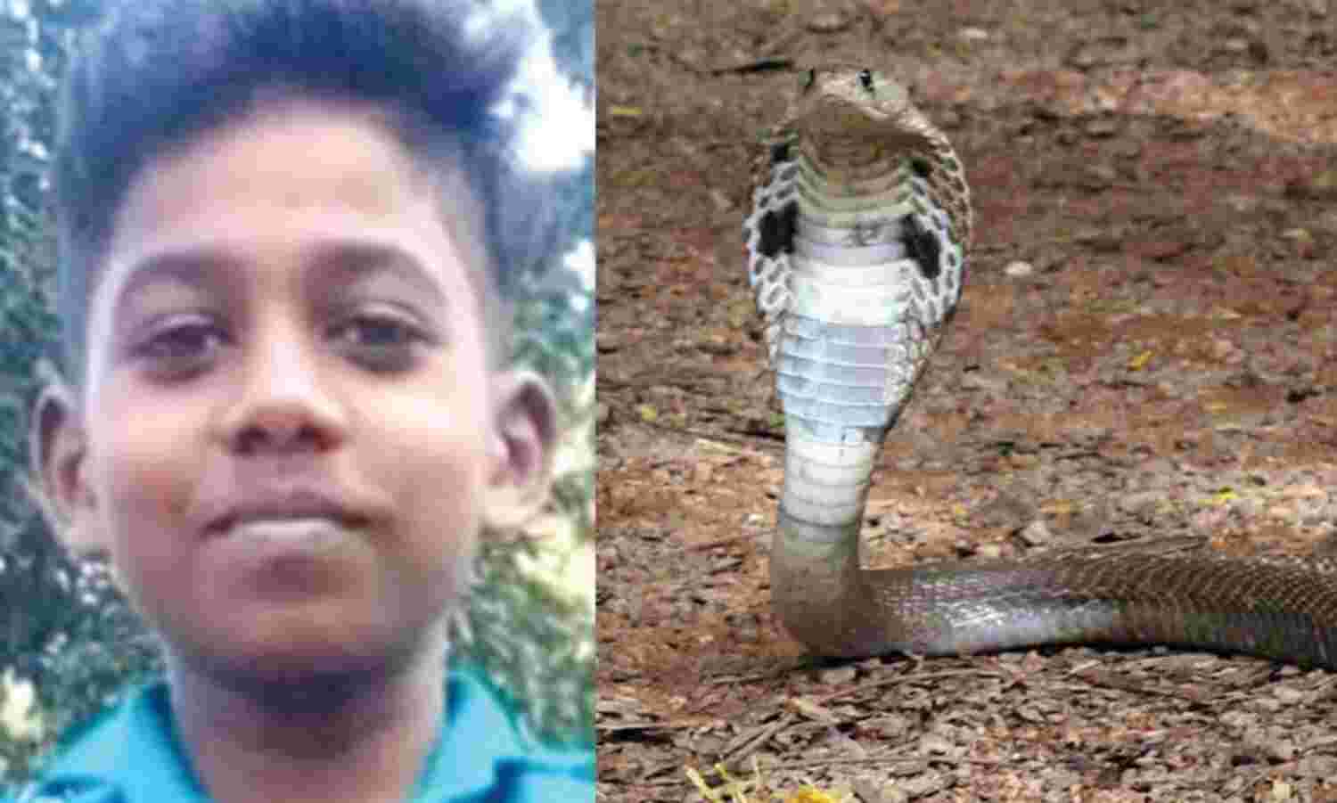 കാലിന് പരിക്കെന്ന് കരുതി; വണ്ടിപ്പെരിയാറില് പാമ്പുകടിയേറ്റ കുട്ടി മരിച്ചു കാലിന് പരിക്കെന്ന് കരുതി; വണ്ടിപ്പെരിയാറില് പാമ്പുകടിയേറ്റ കുട്ടി മരിച്ചു