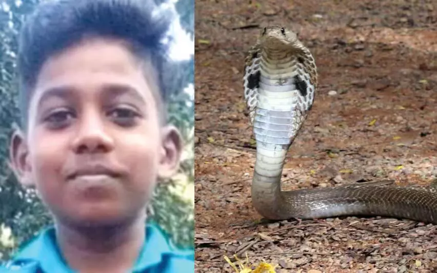 കാലിന് പരിക്കെന്ന് കരുതി; വണ്ടിപ്പെരിയാറില് പാമ്പുകടിയേറ്റ കുട്ടി മരിച്ചു കാലിന് പരിക്കെന്ന് കരുതി; വണ്ടിപ്പെരിയാറില് പാമ്പുകടിയേറ്റ കുട്ടി മരിച്ചു