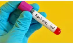 നിപ; മലപ്പുറത്ത് മാസ്ക് നിര്ബന്ധമാക്കി നിപ; മലപ്പുറത്ത് മാസ്ക് നിര്ബന്ധമാക്കി