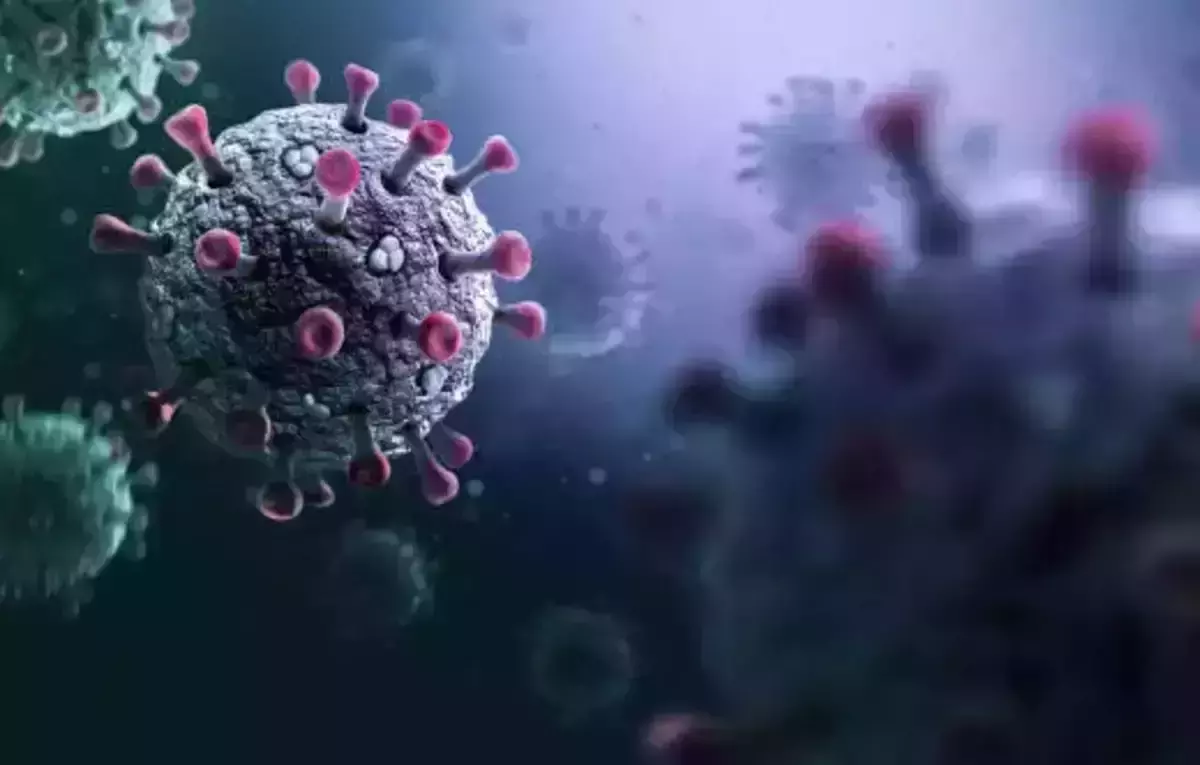 നിപയില്‍ ആശ്വാസം; നിപ ബാധിച്ച രോഗിയുടെ നില തൃപ്തികരം