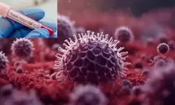 നിപ: 16 പേരുടെ പരിശോധനാ ഫലം നെഗറ്റീവ്: സമ്പര്ക്ക പട്ടികയില് 255 പേര് നിപ: 16 പേരുടെ പരിശോധനാ ഫലം നെഗറ്റീവ്: സമ്പര്ക്ക പട്ടികയില് 255 പേര്