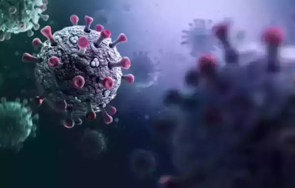 നിപയില് ആശ്വാസം; നിപ ബാധിച്ച രോഗിയുടെ നില തൃപ്തികരം നിപയില് ആശ്വാസം; നിപ ബാധിച്ച രോഗിയുടെ നില തൃപ്തികരം