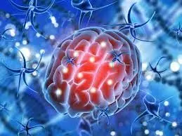 കാസര്ഗോഡ് അമീബിക് മസ്തിഷ്ക ജ്വരം ബാധിച്ച് യുവാവ് മരിച്ചു കാസര്ഗോഡ് അമീബിക് മസ്തിഷ്ക ജ്വരം ബാധിച്ച് യുവാവ് മരിച്ചു