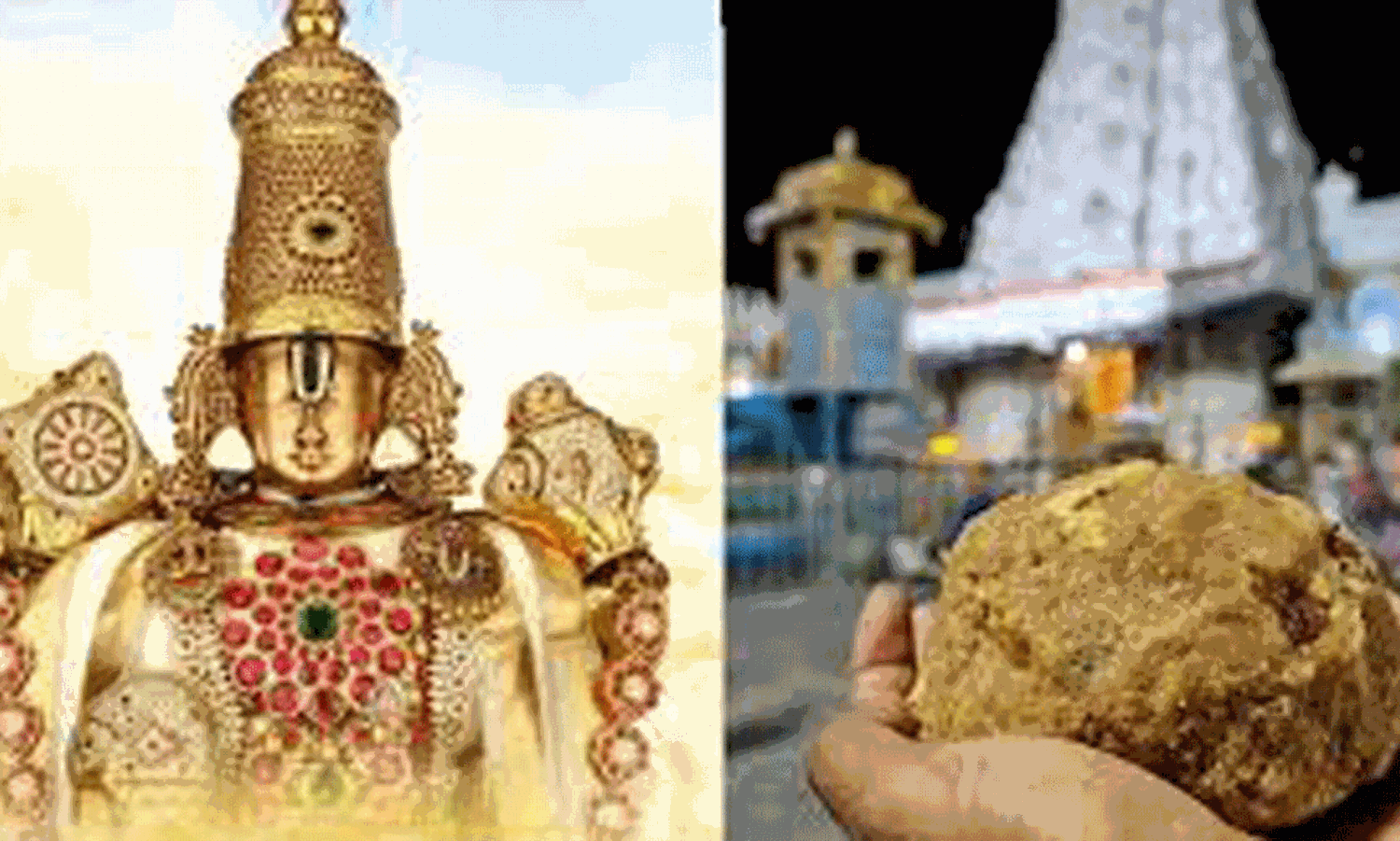തിരുപ്പതി ലഡ്ഡുവിലെ മൃഗക്കൊഴുപ്പ്; പ്രത്യേക അന്വേഷണ സംഘത്തെ രൂപീകരിച്ച് തെലങ്കാന സര്ക്കാര് തിരുപ്പതി ലഡ്ഡുവിലെ മൃഗക്കൊഴുപ്പ്; പ്രത്യേക അന്വേഷണ സംഘത്തെ രൂപീകരിച്ച് തെലങ്കാന സര്ക്കാര്