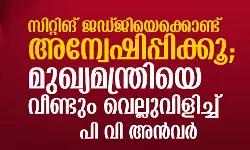 സിറ്റിങ് ജഡ്ജിയെക്കൊണ്ട് അന്വേഷിപ്പിക്കൂ; മുഖ്യമന്ത്രിയെ വീണ്ടും വെല്ലുവിളിച്ച് പി വി അന്‍വര്‍