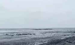 തീരപ്രദേശങ്ങളില്‍ വരും ദിവസങ്ങളില്‍ കള്ളക്കടല്‍ പ്രതിഭാസത്തിന് സാധ്യത