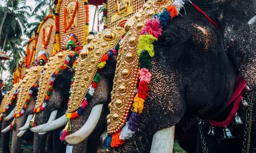 സ്വകാര്യ ചടങ്ങുകള്ക്ക് ആനയെ ഉപയോഗിക്കരുത്; ആന എഴുന്നള്ളിപ്പില് കര്ശന നിയന്ത്രണങ്ങളുമായി അമിക്കസ് ക്യൂറി സ്വകാര്യ ചടങ്ങുകള്ക്ക് ആനയെ ഉപയോഗിക്കരുത്; ആന എഴുന്നള്ളിപ്പില് കര്ശന നിയന്ത്രണങ്ങളുമായി അമിക്കസ് ക്യൂറി