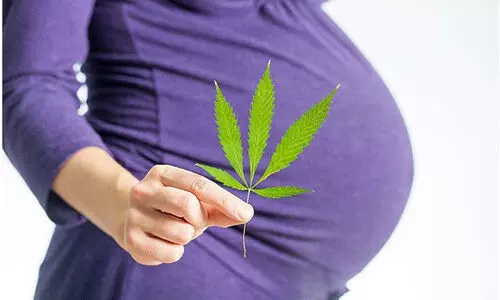 ഗര്ഭിണി കഞ്ചാവ് വലിച്ചാല് കുഞ്ഞ് ഭാവിയില് ലഹരിക്ക് അടിമയാവാമെന്ന് പഠനം ഗര്ഭിണി കഞ്ചാവ് വലിച്ചാല് കുഞ്ഞ് ഭാവിയില് ലഹരിക്ക് അടിമയാവാമെന്ന് പഠനം