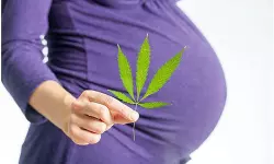 เดเดฐเตโเดญเดฟเดฃเดฟ เดเดเตเดเดพเดตเต เดตเดฒเดฟเดเตเดเดพเดฒเตโ เดเตเดเตเดเต เดญเดพเดตเดฟเดฏเดฟเดฒเตโ เดฒเดนเดฐเดฟเดเตเดเต เด
เดเดฟเดฎเดฏเดพเดตเดพเดฎเตเดจเตเดจเต เดชเด เดจเด เดเดฐเตโเดญเดฟเดฃเดฟ เดเดเตเดเดพเดตเต เดตเดฒเดฟเดเตเดเดพเดฒเตโ เดเตเดเตเดเต เดญเดพเดตเดฟเดฏเดฟเดฒเตโ เดฒเดนเดฐเดฟเดเตเดเต เด
เดเดฟเดฎเดฏเดพเดตเดพเดฎเตเดจเตเดจเต เดชเด เดจเด